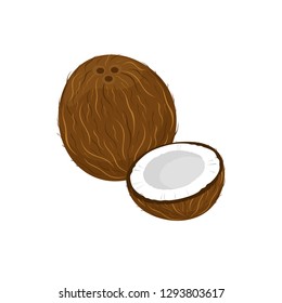 Coconut isolated on white background. Vector illustration
