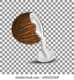 Coconut isolated on white background with shadow, coconut milk pours with splashes, realistic vector illustration
