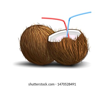 Coconut isolated on white background with drinking tubes and shadow, whole coconut and half, realistic vector illustration