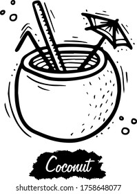 Coconut isolated on white background. Vintage black vector engraving illustration. Hand drawn in a graphic style.