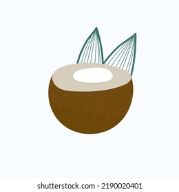 coconut isolated on white background