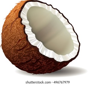 coconut isolated on white background