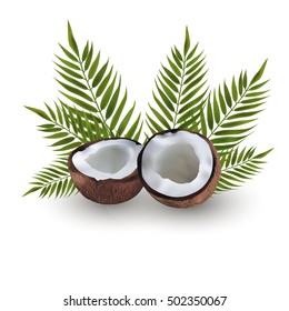 Coconut isolated on white background.