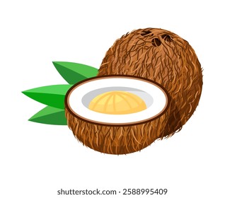 Coconut, Coconut isolated on white, Half Coconut