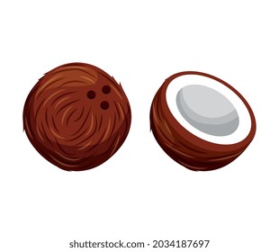 coconut isolated over white background. vector illustration