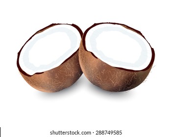 coconut isolated, coconut vector, coconut