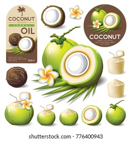 Coconut Isolated Vector