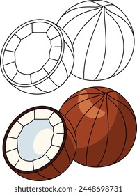 Coconut Isolated Vector Illustration Hand Drawn Coloring Page for Kids