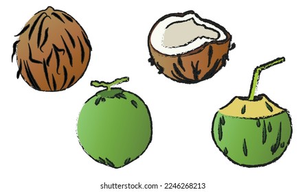 Vectores aislados de coco sobre fondo blanco, vectores de línea de fruta aislados