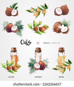 Coconut, jojoba and argan oil watercolor vector illustration. Skin care and hair treatment. Beauty and health concept design.