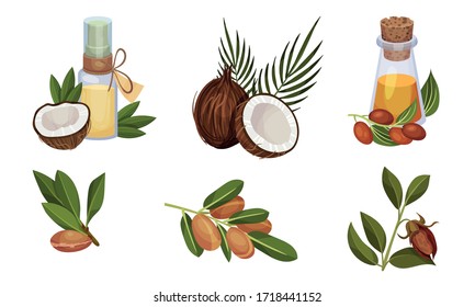 Coconut and Jojoba Organic Compositions with Branches and Oil Bottles Vector Set