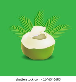 coconut  juice background green leaf vector illustion