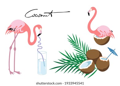 Coconut, juice, palm leaves and funny bird pink flamingos. Flat style. Vector illustration.