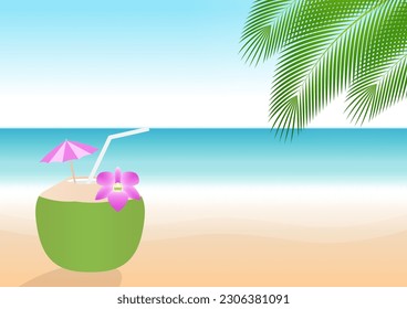 Coconut Juice or Coconut Water Drink, Coconut Cocktail on Beach. Vector Illustration.