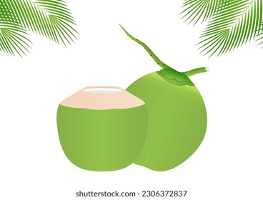 Coconut Juice or Coconut Water Drink, Fresh Green Coconut. Vector Illustration Isolated on White Background. 