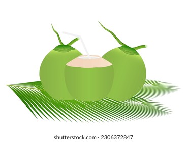 Coconut Juice or Coconut Water Drink, Fresh Green Coconut. Vector Illustration Isolated on White Background. 