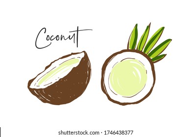 Coconut leaf, coconut half, word sign. Fruit colorful line elements. Cute vector pattern. Cartoon vintage tropical print on white background
