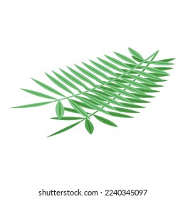 Coconut leaf icon isometric vector. Cosmetic oil. Beauty lotion