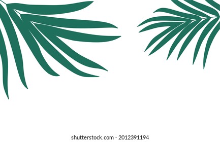 coconut leaf illustration dark green white background