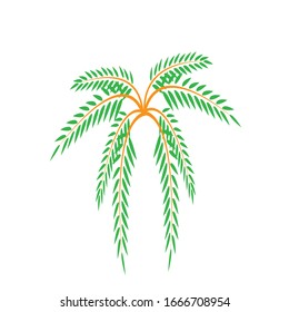 coconut leaf illustration simple design vector