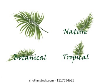 Coconut leaf logo 