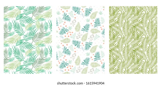 Coconut Leaf, Palm Leaf Abstract Vector Background Collection