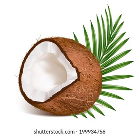 Coconut with leaf. Vector illustration.