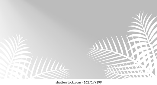 coconut leaf white and sunshine on grey wall for background, palm tree leaves white shadow, sunbeam at floral leaves shadow white, illustration nature foliage shadow pattern morning shine on gray wall