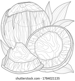 
Coconut with leaf.Tasty sweets.Coloring book antistress for children and adults. Zen-tangle style.Black and white drawing