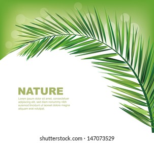 coconut leaves