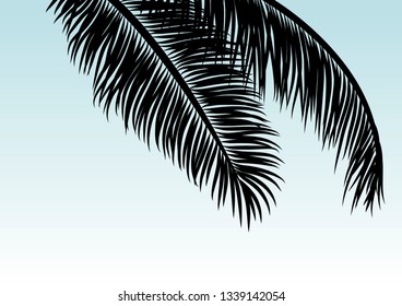 Coconut leaves with copy space tropical summer background vector illustration