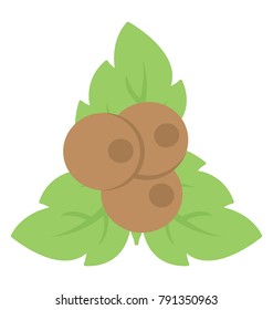 Coconut with leaves flat design icon
