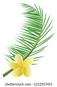 Coconut leaves and flower
