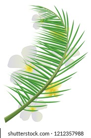 Coconut leaves and flower
