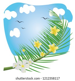 Coconut leaves and flower