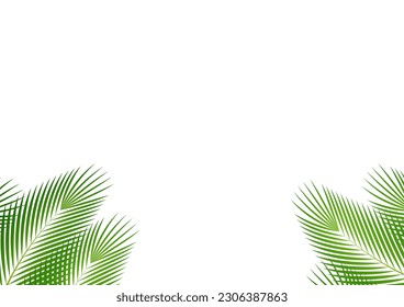 Coconut Leaves or Green Palm Leaves. Summer Background Frame. Vector Illustration Isolated on White Background. 