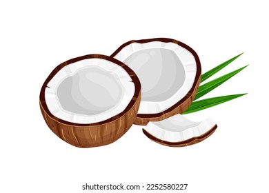 Coconut and leaves isolated on white background. Vector illustration cartoon  isolated on white.