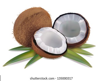 Coconut with leaves on a white background vector