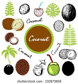 Coconut, leaves, palm, cocktail, exotic tropical icons set isolated on a white background 