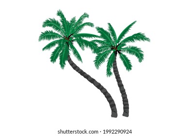 Coconut leaves , Realistic vector palm tree isolated on white background.