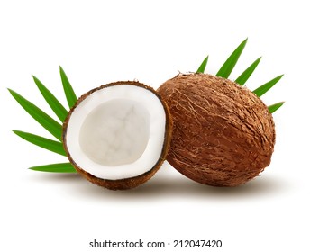 Coconut with leaves. Vector.