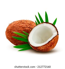 Coconut with leaves. Vector.