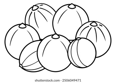 Coconut line art elegant fruit contour creative design study