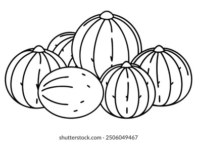 Coconut line art expressive fruit theme creative artistic idea