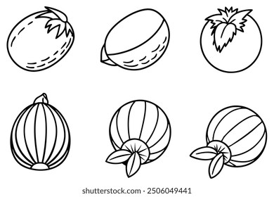 Coconut line art vibrant fruit inspired creative design exploration