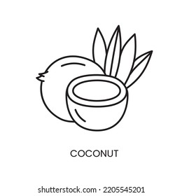 Coconut line icon in vector, illustration of the product from which sugar is made.