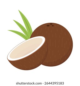 Coconut  logo design. Coconut vector. Coconut on white background.