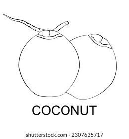 Logo del coco. Símbolo de icono de coco. Ilustración vectorial aislada en fondo blanco.