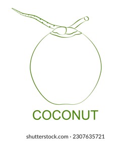 Coconut Logo. Coconut Icon Symbol. Vector Illustration Isolated on White Background.