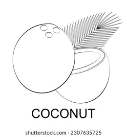 Coconut Logo. Coconut Icon Symbol. Vector Illustration Isolated on White Background.